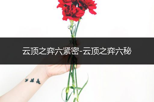 云顶之弈六紧密-云顶之弈六秘