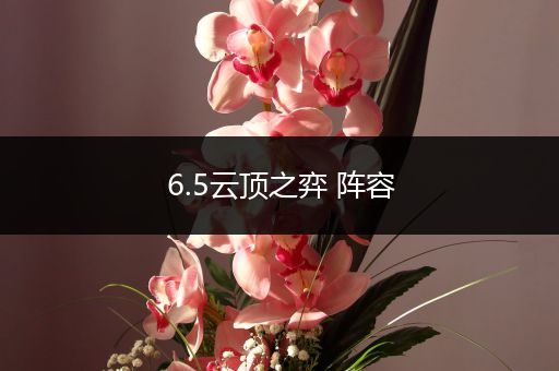 6.5云顶之弈 阵容