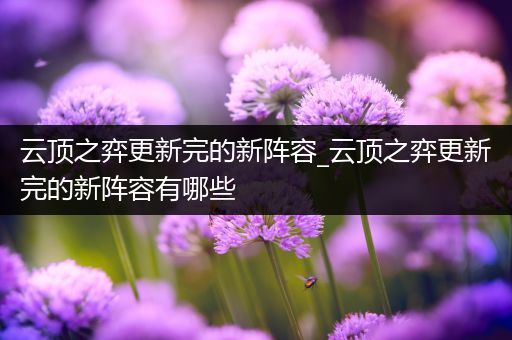 云顶之弈更新完的新阵容_云顶之弈更新完的新阵容有哪些