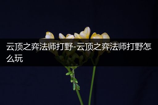 云顶之弈法师打野-云顶之弈法师打野怎么玩