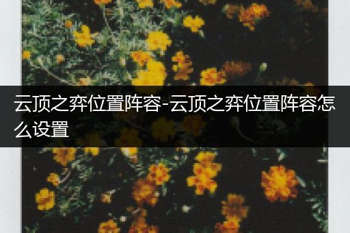云顶之弈位置阵容-云顶之弈位置阵容怎么设置