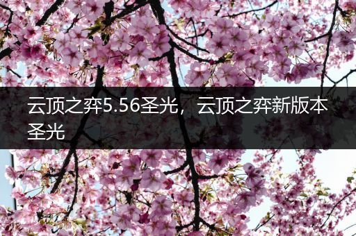 云顶之弈5.56圣光，云顶之弈新版本圣光