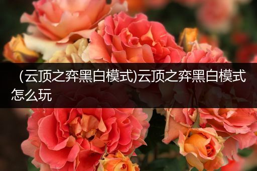 （云顶之弈黑白模式)云顶之弈黑白模式怎么玩