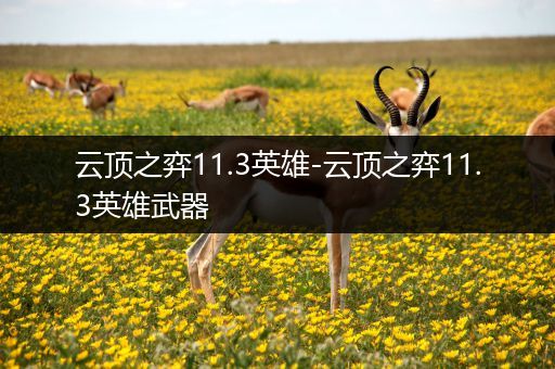 云顶之弈11.3英雄-云顶之弈11.3英雄武器