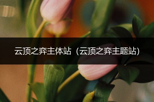 云顶之弈主体站（云顶之弈主题站）