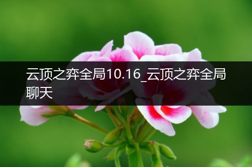 云顶之弈全局10.16_云顶之弈全局聊天