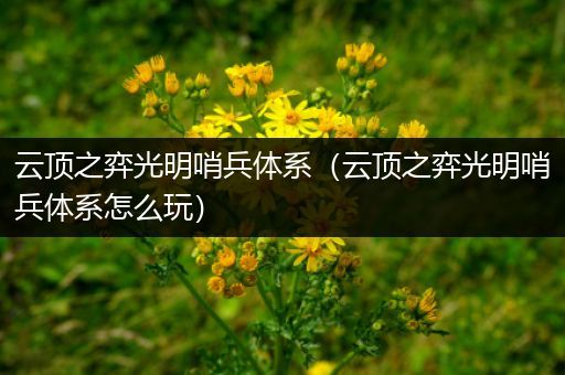 云顶之弈光明哨兵体系（云顶之弈光明哨兵体系怎么玩）