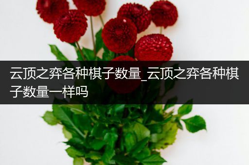 云顶之弈各种棋子数量_云顶之弈各种棋子数量一样吗