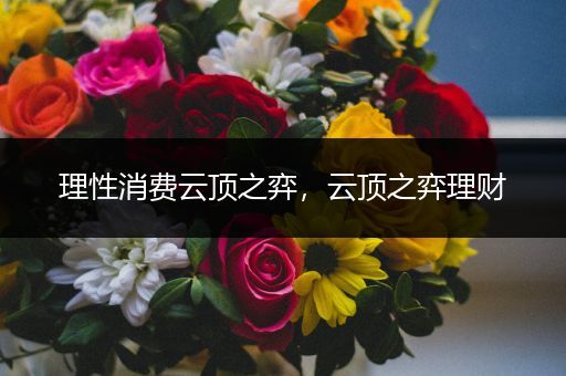 理性消费云顶之弈，云顶之弈理财