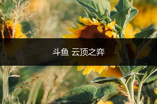 斗鱼 云顶之弈