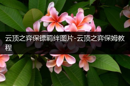 云顶之弈保镖羁绊图片-云顶之弈保姆教程