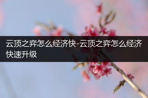 云顶之弈怎么经济快-云顶之弈怎么经济快速升级