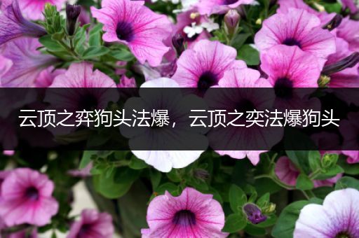 云顶之弈狗头法爆，云顶之奕法爆狗头