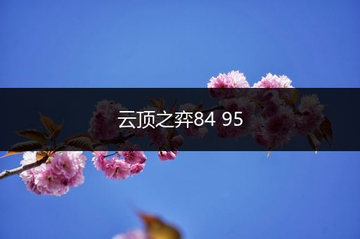 云顶之弈84 95