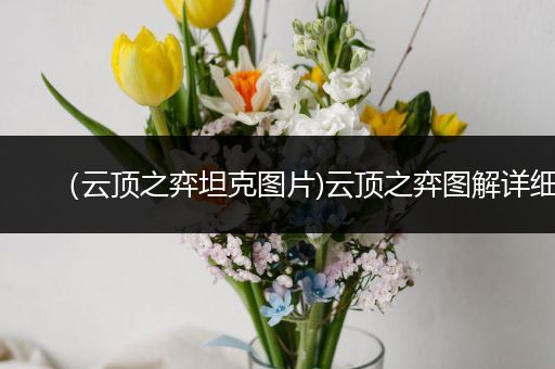 （云顶之弈坦克图片)云顶之弈图解详细