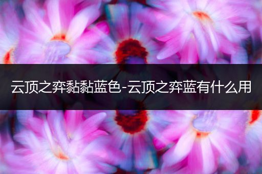 云顶之弈黏黏蓝色-云顶之弈蓝有什么用