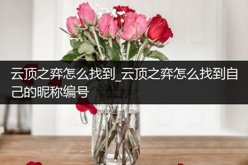 云顶之弈怎么找到_云顶之弈怎么找到自己的昵称编号