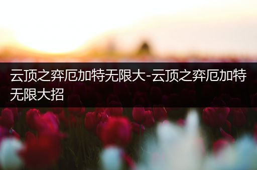 云顶之弈厄加特无限大-云顶之弈厄加特无限大招