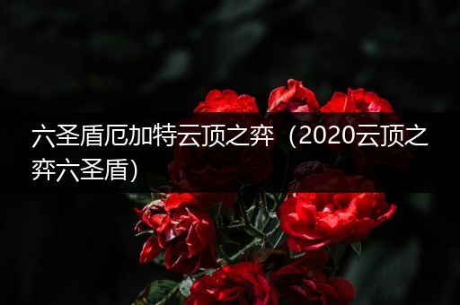 六圣盾厄加特云顶之弈（2020云顶之弈六圣盾）