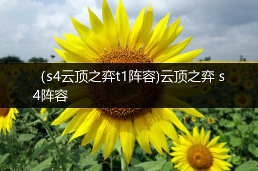 （s4云顶之弈t1阵容)云顶之弈 s4阵容