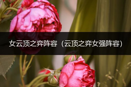 女云顶之弈阵容（云顶之弈女强阵容）