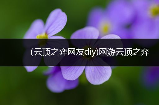 （云顶之弈网友diy)网游云顶之弈