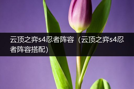 云顶之弈s4忍者阵容（云顶之弈s4忍者阵容搭配）