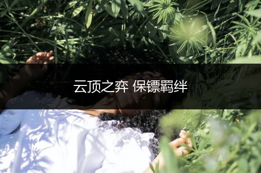 云顶之弈 保镖羁绊