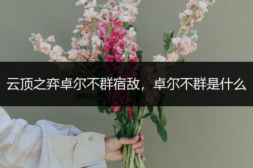 云顶之弈卓尔不群宿敌，卓尔不群是什么