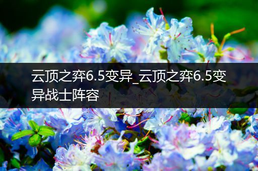 云顶之弈6.5变异_云顶之弈6.5变异战士阵容