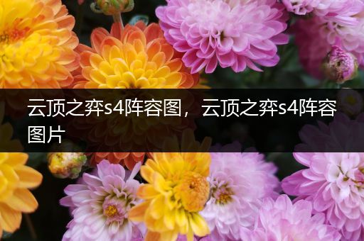 云顶之弈s4阵容图，云顶之弈s4阵容图片