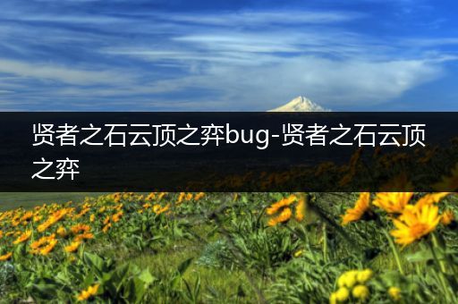 贤者之石云顶之弈bug-贤者之石云顶之弈