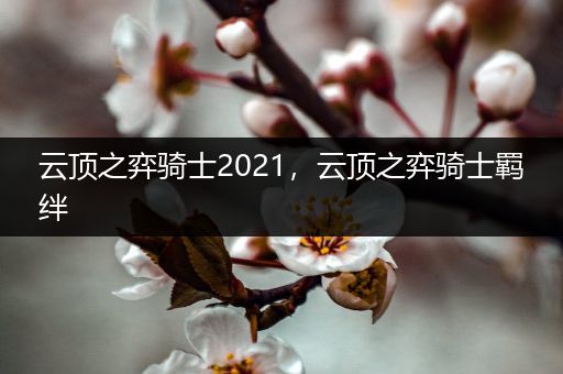 云顶之弈骑士2021，云顶之弈骑士羁绊