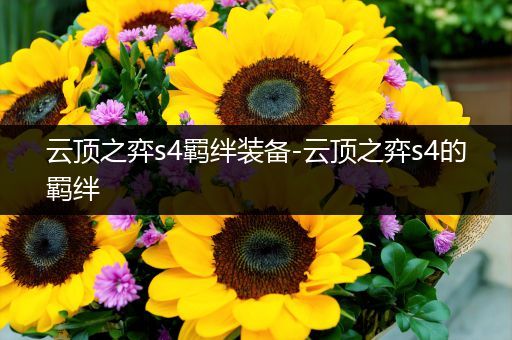 云顶之弈s4羁绊装备-云顶之弈s4的羁绊