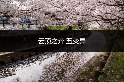 云顶之弈 五变异
