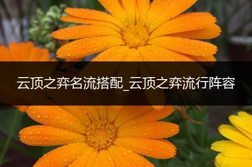 云顶之弈名流搭配_云顶之弈流行阵容
