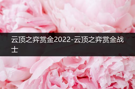 云顶之弈赏金2022-云顶之弈赏金战士