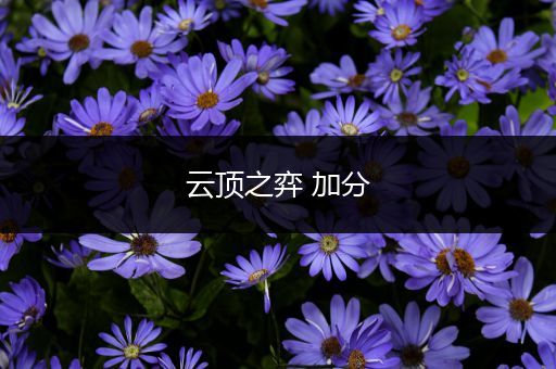 云顶之弈 加分