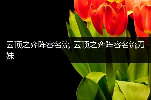 云顶之弈阵容名流-云顶之弈阵容名流刀妹