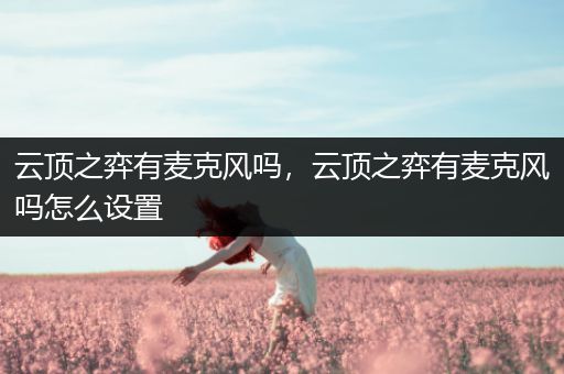云顶之弈有麦克风吗，云顶之弈有麦克风吗怎么设置