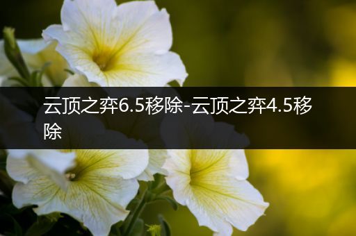 云顶之弈6.5移除-云顶之弈4.5移除