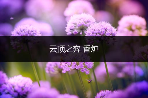 云顶之弈 香炉