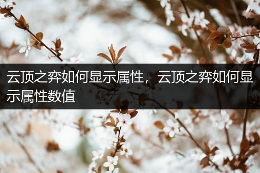 云顶之弈如何显示属性，云顶之弈如何显示属性数值
