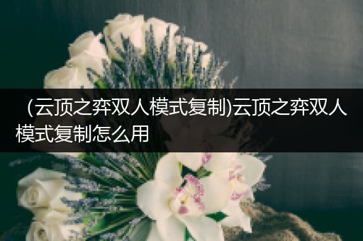 （云顶之弈双人模式复制)云顶之弈双人模式复制怎么用