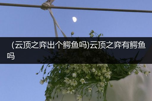 （云顶之弈出个鳄鱼吗)云顶之弈有鳄鱼吗