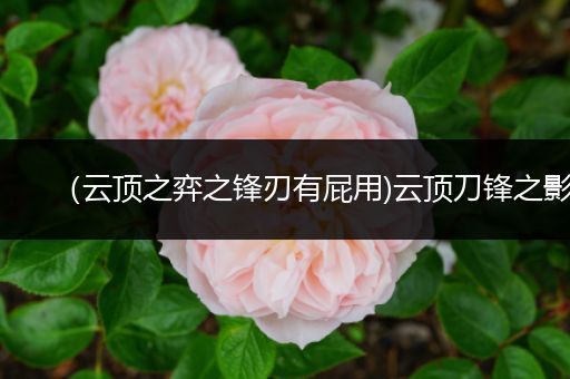 （云顶之弈之锋刃有屁用)云顶刀锋之影