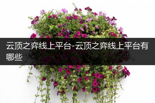 云顶之弈线上平台-云顶之弈线上平台有哪些
