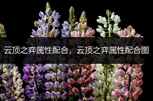 云顶之弈属性配合，云顶之弈属性配合图