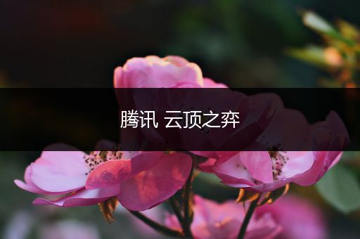 腾讯 云顶之弈