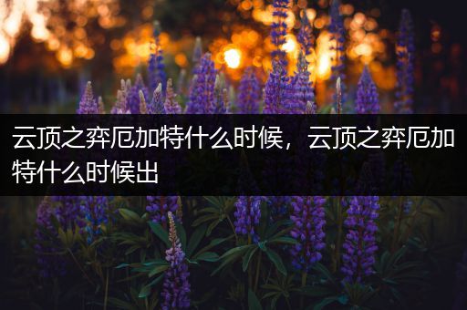 云顶之弈厄加特什么时候，云顶之弈厄加特什么时候出